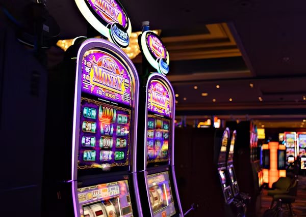 Dragon Tiger game interface on bloody showing card positions and betting options